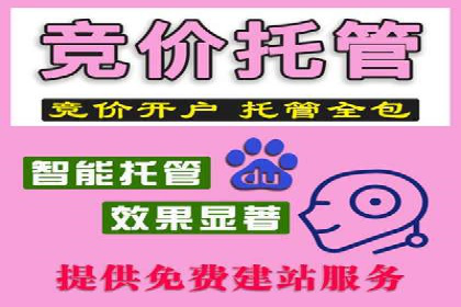 案例解析：SEM竞价优化助力企业实现业绩增长
